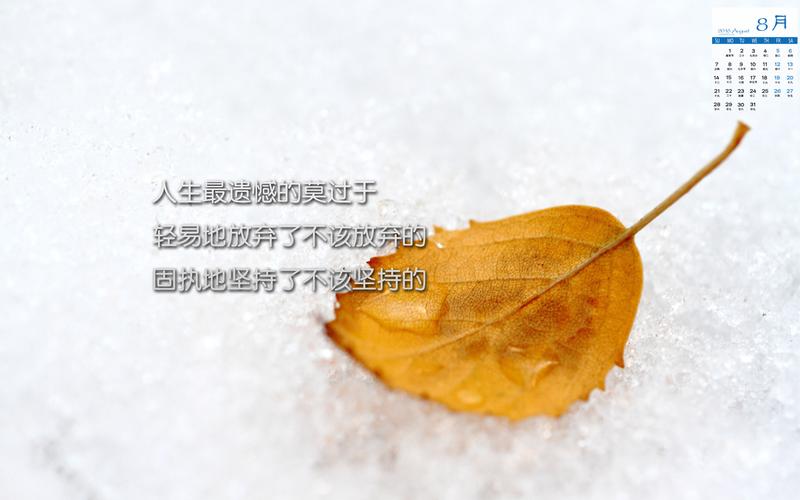 这样的人让我佩服作文600字白衣天使ai