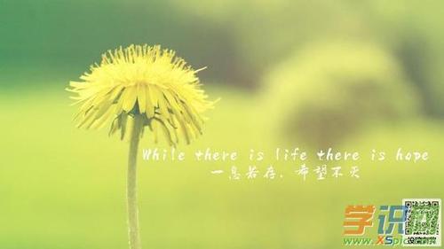 配送的司机岗位职责