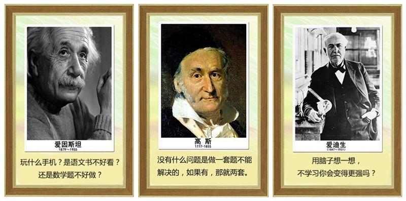 向日葵的花语向日葵的花语寓意